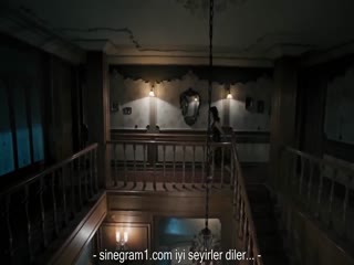 西辛4