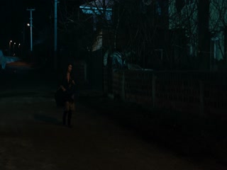 西辛2