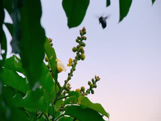 我们的生物世界