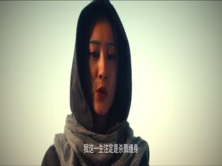 蝶影2024