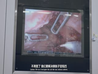 我们的身体2023