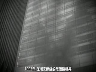 崛起与坍塌:世贸双子塔